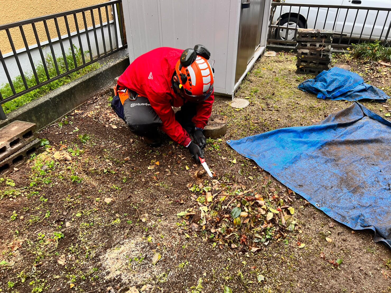 幹が少し飛び出している箇所も徹底的に切り戻します